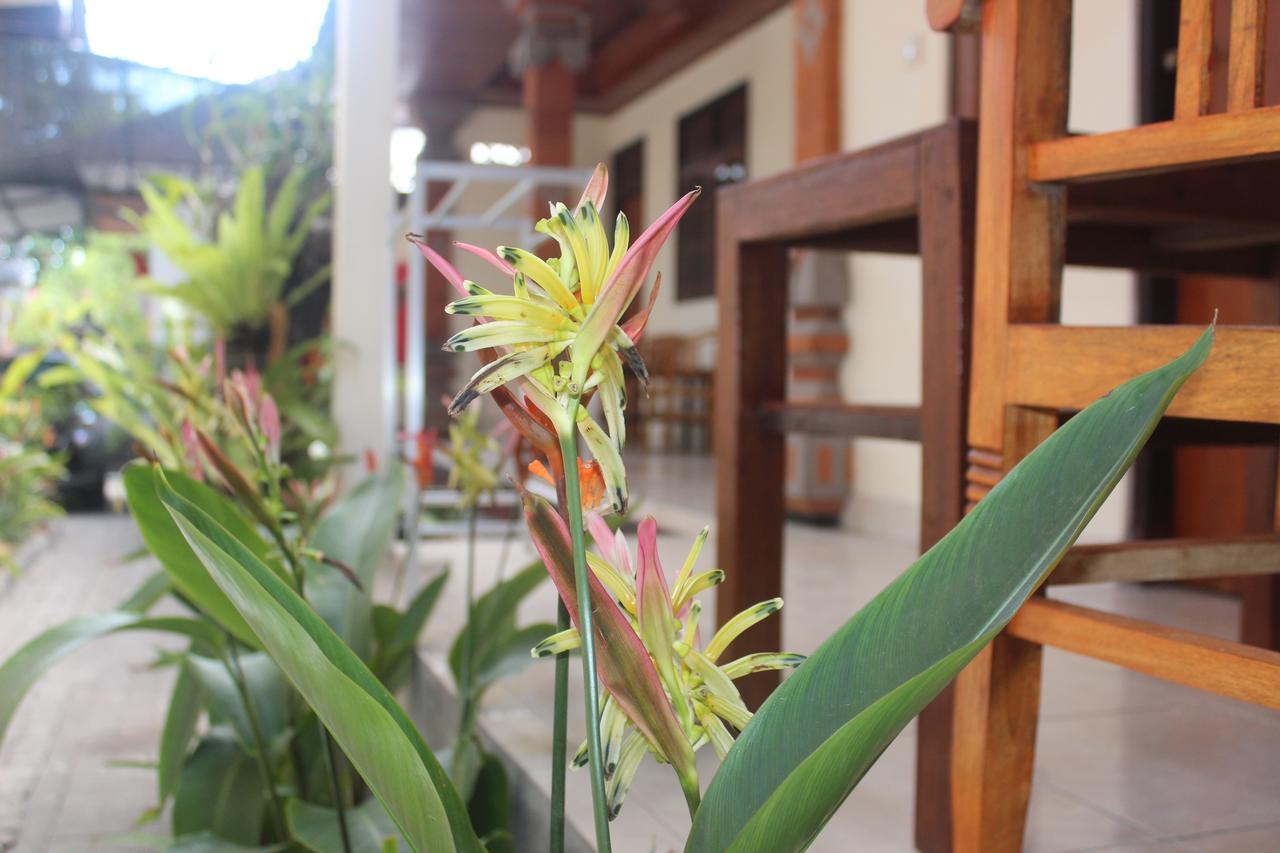 Js Guest House スミニャック エクステリア 写真